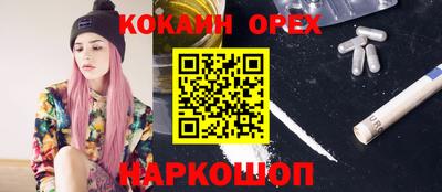 apvp Заволжье