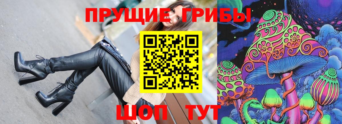 Курчалой  Галлюциногенные грибы GOLDEN TEACHER  Вход с VPN 