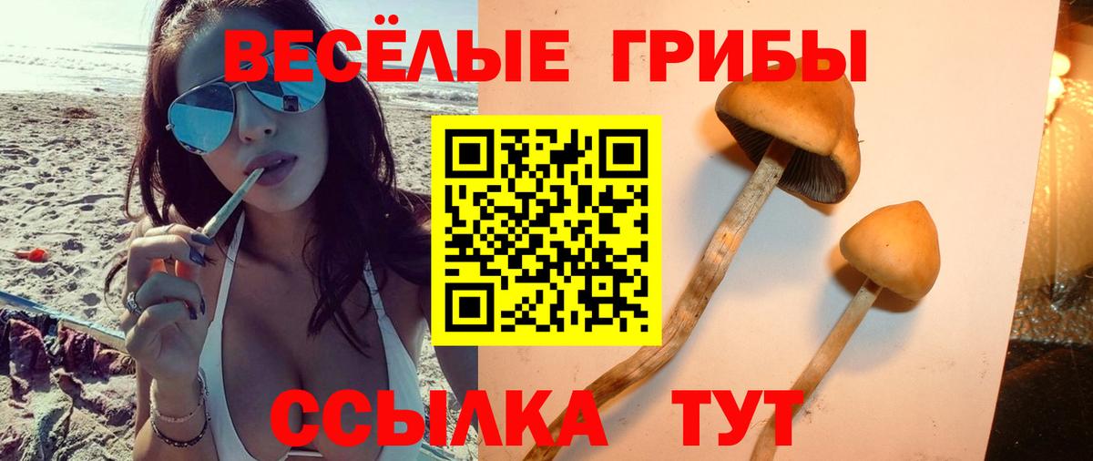 Галлюциногенные грибы Magic Shrooms Курчалой